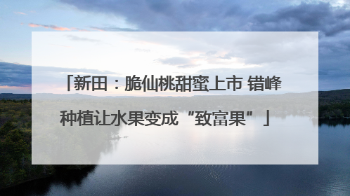 新田：脆仙桃甜蜜上市 错峰种植让水果变成“致富果”